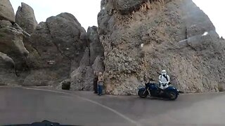 Scenic Autumn Needles Highway Drive in Custer State Park South Dakota