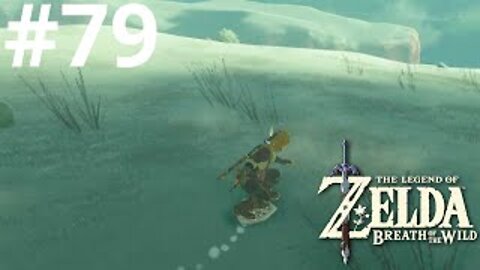 Trekking the Gerudo Highlands| The Legend of Zelda: Breath of the Wild #79