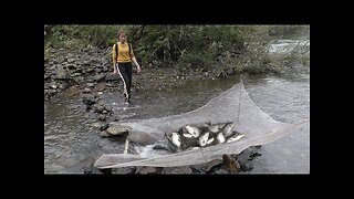 Wild Fishing | wild fishing tips | Stream fishing techniques | Super fishing technique | fishing