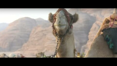 Wadi Rum desert of Jordan, annual Camel Race Festival, robotic devices attached to the camels