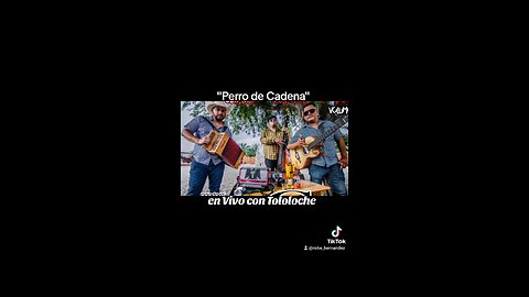 Perro de Cadena - Clika Los Necios