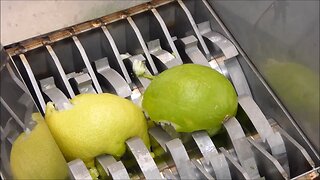 Shredding lemons.