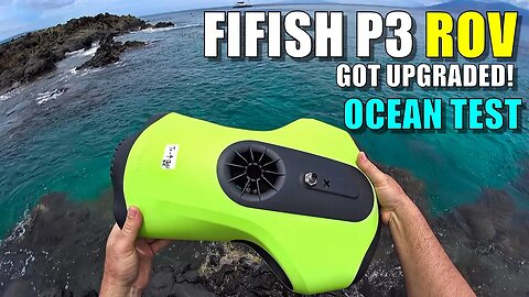 QYSEA FIFISH P3 Underwater 4K ROV Drone Review - Part 4 (UPGRADED!) SEA TURTLE FEEDING FRENZY