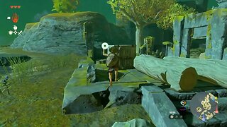 Zelda Tears of the Kingdom - Zonai Charge