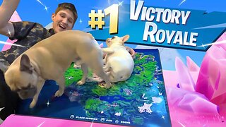 Using my PUPPIES To WIN in Fortnite Chapter 2!