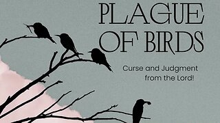 Plague of Birds! Sharing links at bottom.