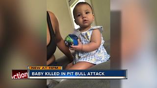 Florida infant, 8 months old, killed by family dog