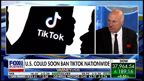Mr Wonderful Wants Government Embedded In A New American TikTok