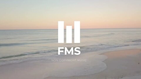 FMS - Free Non Copyright EDM Music #028