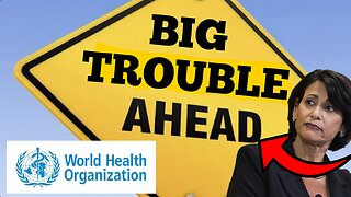 'World Health Organization' "BIG TROUBLE AHEAD" The 'W.H.O' Fraud & International Law Violations