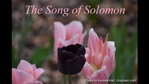 The Song of Solomon 6 | KJV