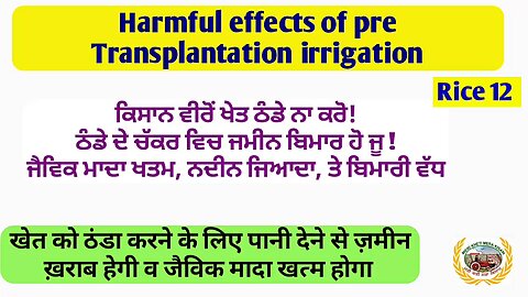 Harmful effects of pre transplantation irrigation! ਖੇਤ ਠੰਡੇ ਕਰ ਕੇ ਖੇਤ ਦਾ ਨੁਕਸਾਨ ਨਾ ਕਰੋ