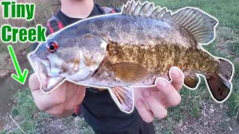 Big Smallmouth Bass in a Tiny Creek! - Northern Illinois Fishing