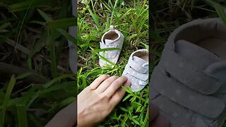 ASMR | Fallen Tree & Cutest Shoes