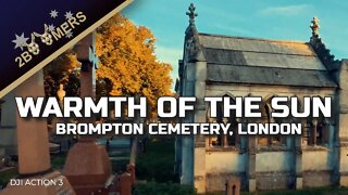 WARMTH OF THE SUN BROMPTON CEMETERY LONDON #djiaction3