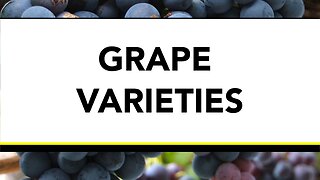 Grape Varieties - Segment