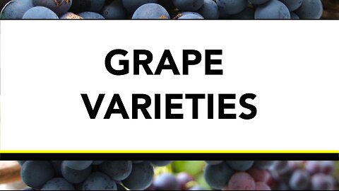 Grape Varieties - Segment