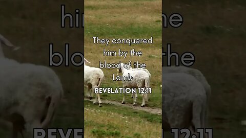 Revelation12:11 #inspiringverses #bibleverse #overcomers #BloodOfTheLamb #viral #quotes