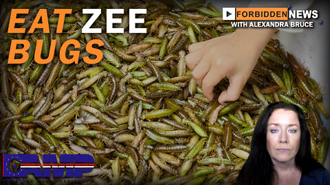 Eat Zee Bugs | Forbidden News Ep. 3