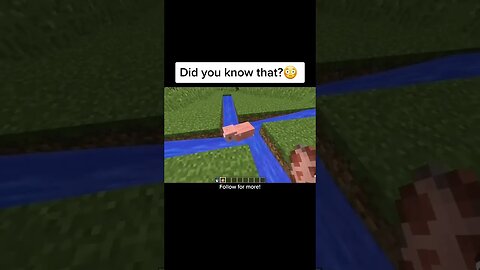 Minecraft Spinning pig