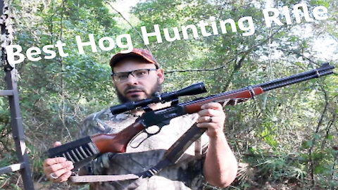 Best Rifle for WIld Hog Hunting #FLhoghunting