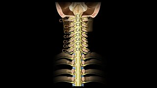 Spinal cord Segmentation