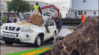 WATCH: Storm destroys homes, cuts power and uproots trees in Cape Town (M6B)