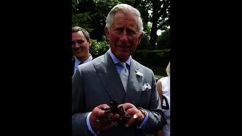 Will Prince Charles be the future King Part I