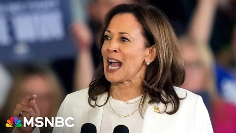 Time is ‘running short’ for Harris to present herself in front of the media: NOTUS reporter