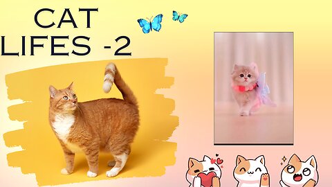 Cat Lifes 2😺 New Funniest Animals Videos 2024