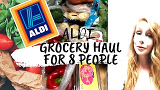 Large Australian family Aldi haul 2020