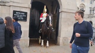 The kings guard wants to go with he police horses #horseguardsparade