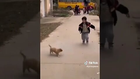 كلب ينتضر صاحبه صغير