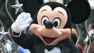 Criança procura cauda de Mickey de forma inapropriada