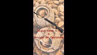 Carabina Black Hawk 5.5 X Ouriço de Castanha