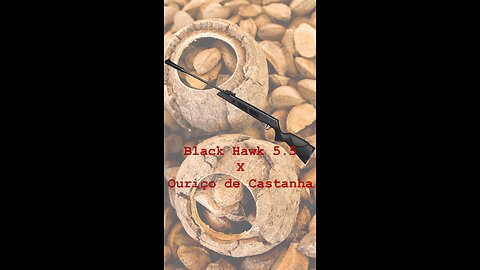 Carabina Black Hawk 5.5 X Ouriço de Castanha