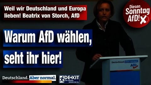 Weil wir Deutschland und Europa lieben! Beatrix von Storch, AfD