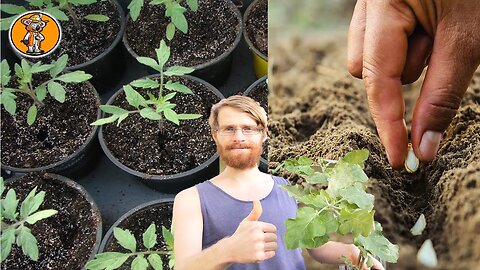 40 Pflanzen die du im April aussäen & setzen kannst