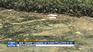 "Seabin" cleaning up ocean pollution in San DIego