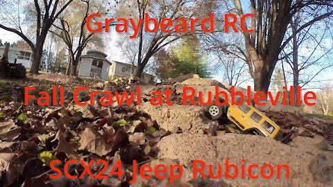 Fall Crawl - SCX24