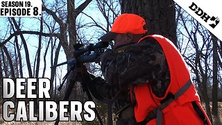 Deer Calibers | Deer & Deer Hunting TV