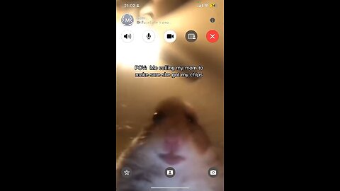 Funny Video | Snapchat Reel