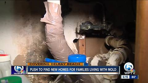 Push to find new homes for families living with mold