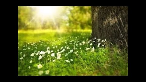 Relaxing Music, , Mediation music, sleeping music