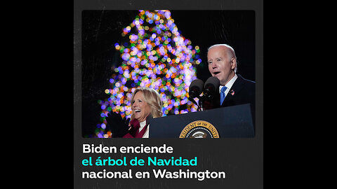 Inauguran el principal árbol de Navidad de EE.UU.