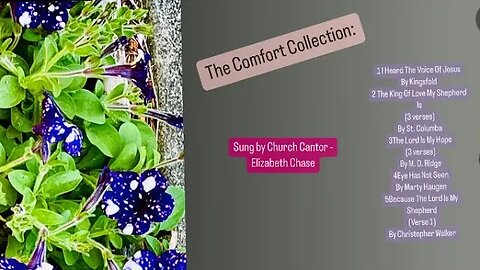 The Comfort Collection