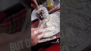 TOASTED Marshmallows Apples