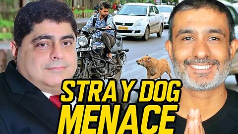 Stray Dog Menace