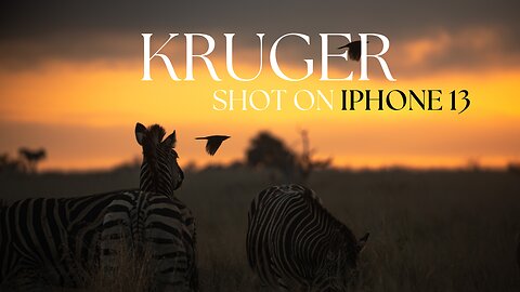 Kruger Safari completely shot on iPhone