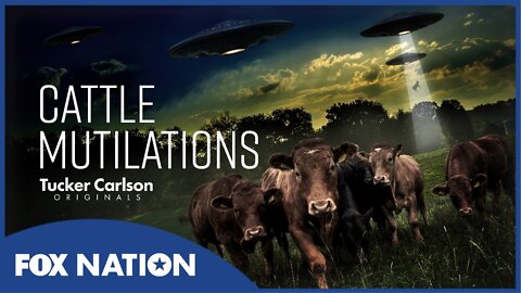 Tucker Carlson Originals: Cattle Mutilations